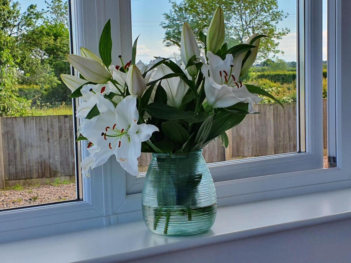 Foxes Field B&B Aston Nantwich Wrenbury Exterior foto